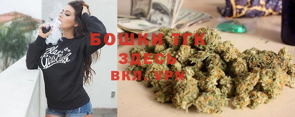 индика Алексеевка