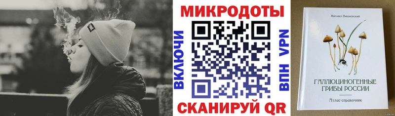 закладки Куса Псилоцибиновые грибы прущие грибы